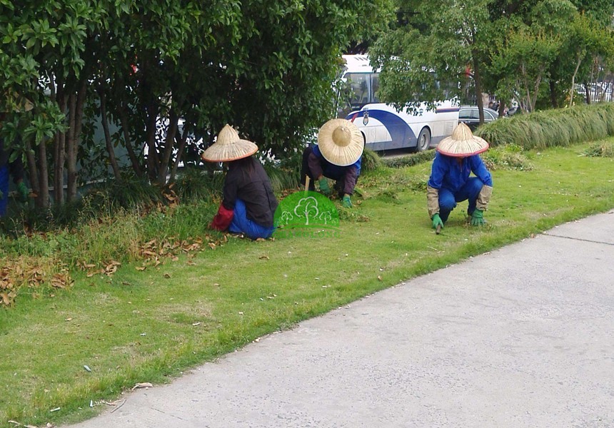 園林綠化養護標準有哪些？