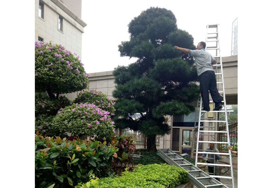 西方古典園林的創(chuàng)作主導思想